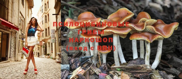 марки lsd Сафоново