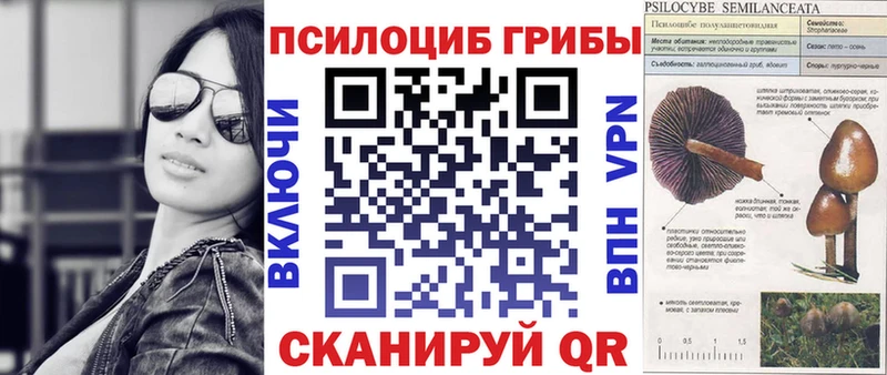Галлюциногенные грибы Psilocybine cubensis  купить   Нариманов 